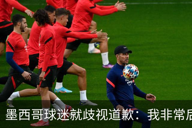 墨西哥球迷就歧视道歉：我非常后悔，已辞去工程师协会职务